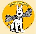 Avatar du membre