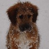 Avatar du membre