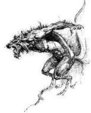 Avatar du membre