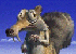 Avatar du membre
