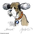 Avatar du membre