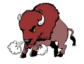 Avatar du membre